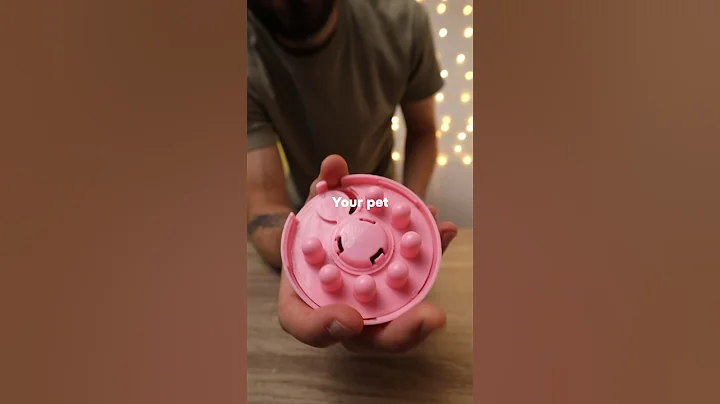 Best dog toys. The best finds of 2023 for pets 🙆‍♂️