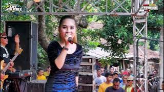 BUKAN TAK MAMPU - MALA KENIS ll DK MUSIK LIVE DONOROJO JEPARA