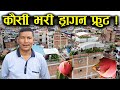 कौसी भरी ड्रागन फ्रुट ! Dragon fruit farming on the rooftop | Interview with Balaram Prajapati