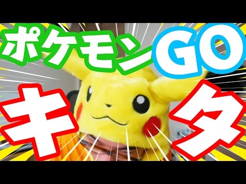【超速報】ポケモンGOキターーー！！！セトチュウ、ゲットだぜ！！！