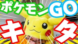 【超速報】ポケモンGOキターーー!!!セトチュウ、ゲットだぜ!!!