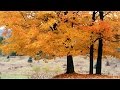 Domingo J. Sanchez - Impressions d'automne - El otoño