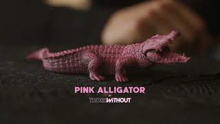 Video voorbeeld van "Those Without  - Pink Alligator [Official Music Video]"