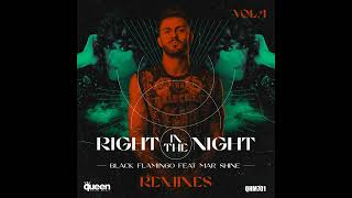 Mar Shine, Black Flamingo - Right In The Night Feat Mar Shine Andrei Stan Remix Resimi