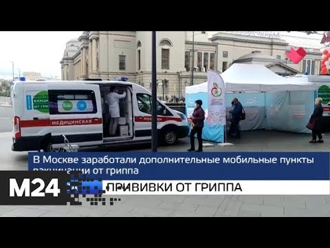"Москва и мир": прививки от гриппа и поправки в ПДД - Москва 24