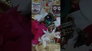 Hare Krishna ,hare Krishna, Krishna Krishna hare hare, hare ram hare ram, Ram Ram hare hare 🙏🏻🙏🏻🌺🌺