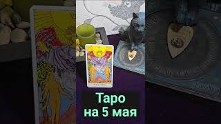 Таро На 5 Мая#Shorts