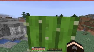 Berdinskiybear's Armor HUD 1.16.4 Fabric Mod Overview