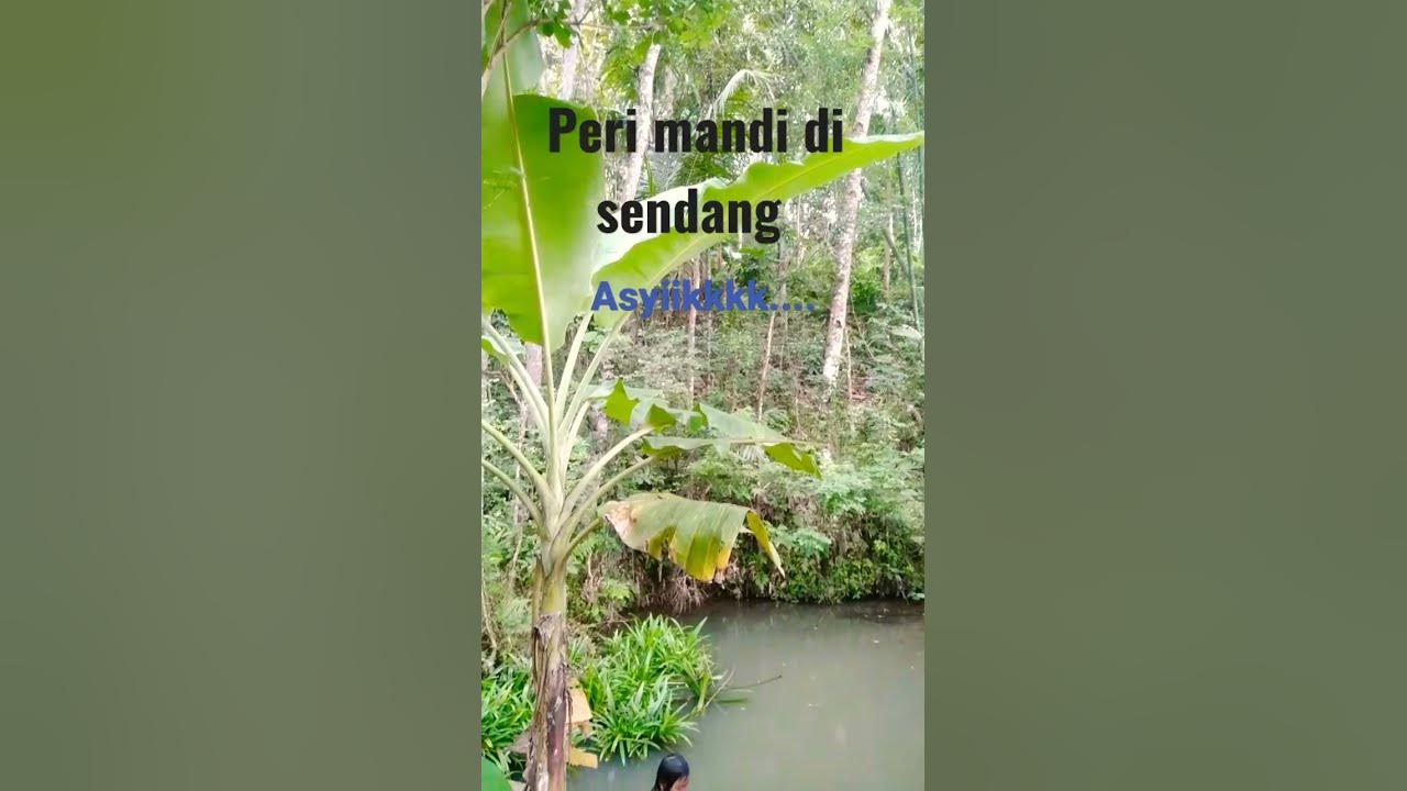 ngintip mandi bocilll... YouTube(04)