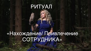 видео: РИТУАЛ НА НАХОЖДЕНИЕ/ПРИВЛЕЧЕНИЕ СОТРУДНИКА. 18 сентября 2025 г. картинка: РИТУАЛ НА НАХОЖДЕНИЕ/ПРИВЛЕЧЕНИЕ СОТРУДНИКА. 18 сентября 2025 г.