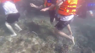 Tourists Walking on Coral in Raja Ampat