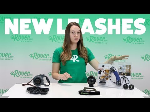 reviewing-new-dog-leashes-|-rover.com