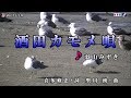 酒田カモメ唄 take152 元歌:羽山みずき