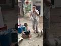 Bị cướp mất cái ăn rồi #funny