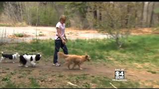 Woman Attacked By Fellow Dog Walker In Wayland