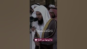 #تلاوة_رائعة #تلاوة_خاشعة #تلاوة_هادئة #تجويد #أنس_العمادي #البحرين #الجزائر #السعودية #مصر #تلاوات