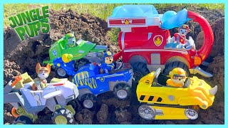 Hidden Paw Patrol Jungle Pups Can You Help Us Find Them?