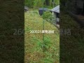 【業務連絡】大分県宇佐市安心院町龍王にある秘密基地みたいな古民家貸別荘　