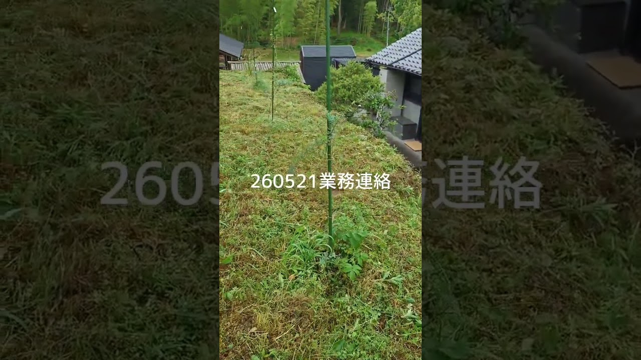 【業務連絡】大分県宇佐市安心院町龍王にある秘密基地みたいな古民家貸別荘　