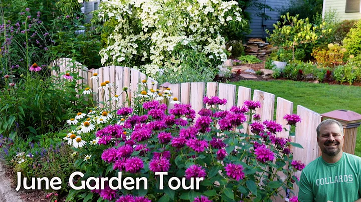 June Garden Tour - Pineapple Guava, Pollinators Galore, Hydrangeas, Beautyberry, Clethra, Vitex - DayDayNews