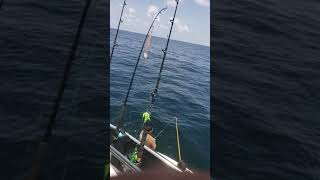 Shark fishing. Offshore Galveston by Captain Lee Crisler 59 views 4 years ago 1 minute, 53 seconds