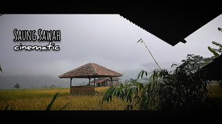 Saung Sawah Cinematic #shorts