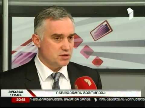 ძიძიგური შს მინისტრის განცხადებას ნაჩქარევად აფასებს