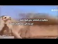 شيلة الوقت دار كلمات حمود الساحلي اداء عبدالعزيز المخلفي 