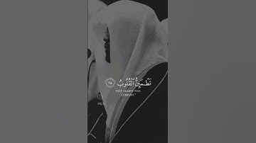 القارئ الشيخ ياسر الدوسري 😢الأ بذكر الله تطمئن القلوب 🥺