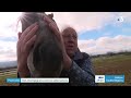 Reportage fr3 les technologies marcel mezy  rvolution agricole grce aux champignons mycorhiziens