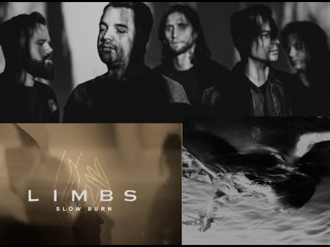 Limbs release new song/video “Slow Burn” off new EP “Coma Year“