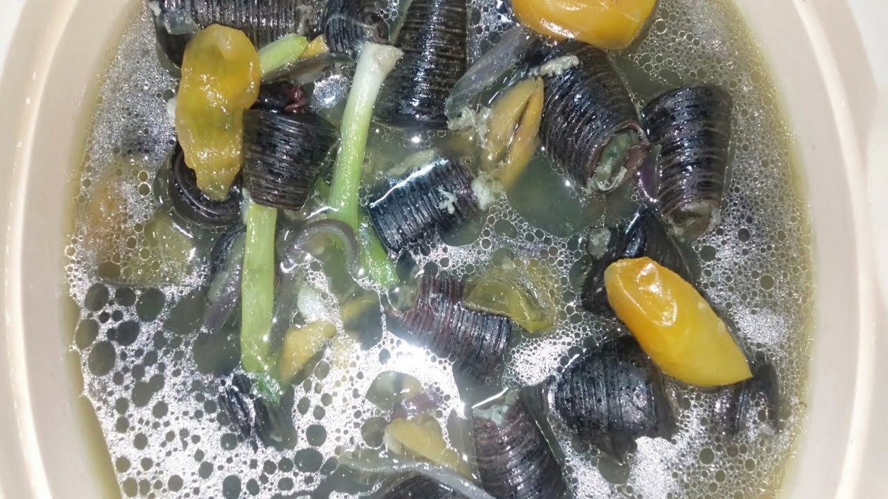 Sinabawang suso/Bagungon