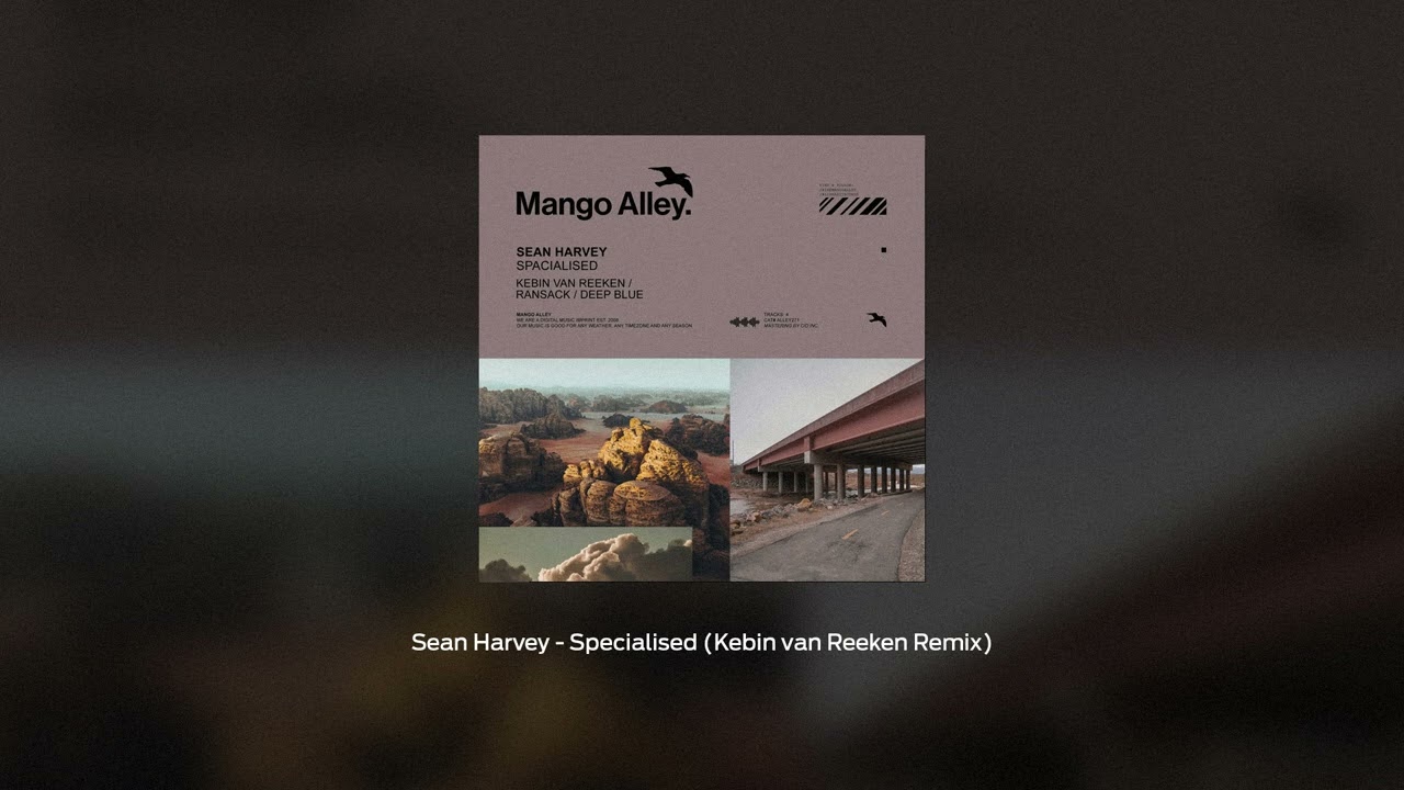 Sean Harvey - Specialised (Kebin van Reeken Remix) [Mango Alley]