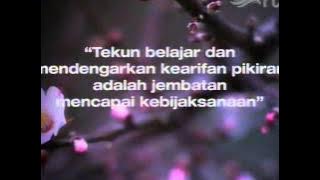 Download lagu rajawali tv (28.9.2014)