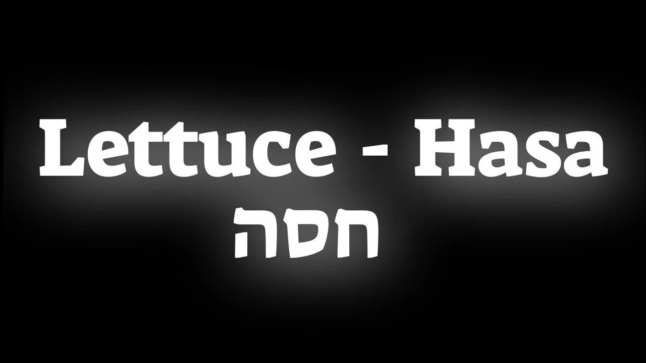 How to pronounce the vegetable Lettuce Hasa חסה in Hebrew YouTube