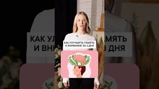 Как улучшить память и внимание за 3 дня