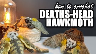 How to crochet a Deathshead Hawkmoth!