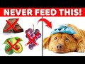 10 &#39;Ordinary&#39; Foods That Can Harm Your Pet
