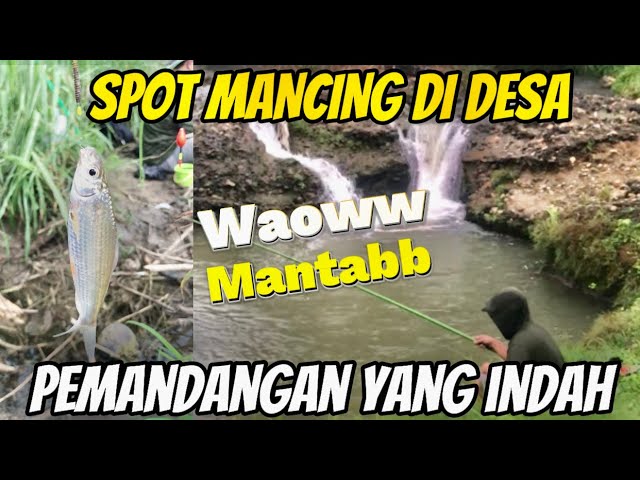 Mancing Ikan Bersama Teman Teman Lucu || MANCING RASA PIKNIK class=