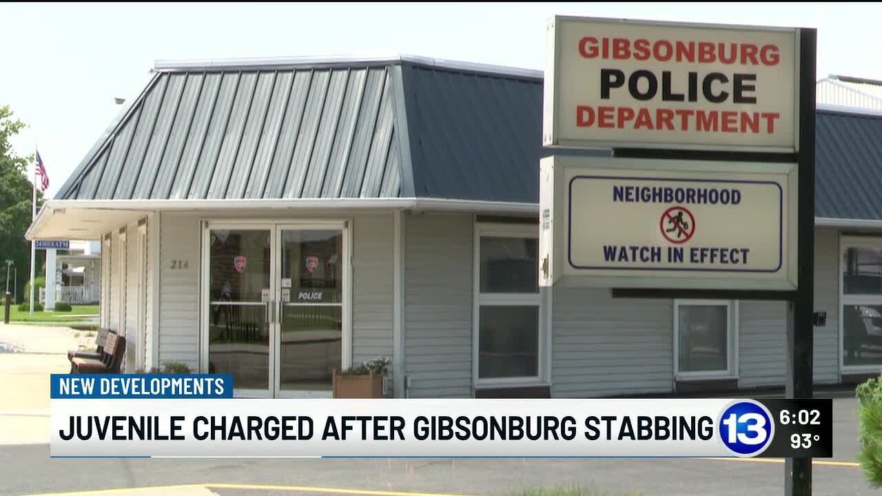 Juvenile charged with felonious assault after stabbing leaves two adults seriously injured in Gib…