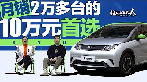 拜見車主大人：BYD海豚月銷2萬多台，它真的香嗎？ - 天天要聞