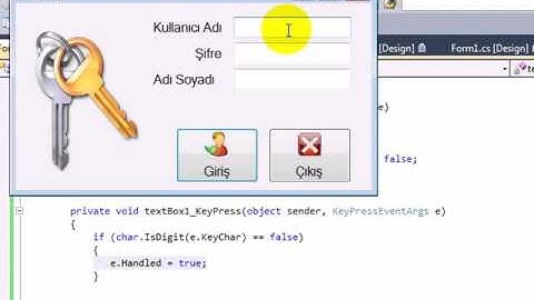 TextBox a Sadece Sayı Girişi Ders 93