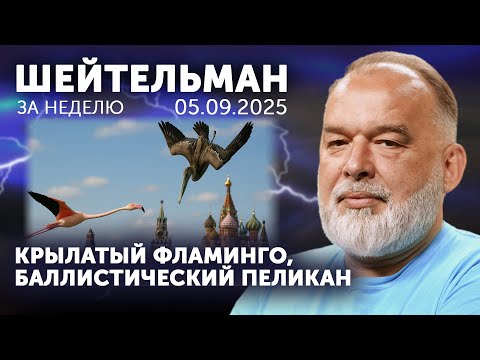 YouTube видео