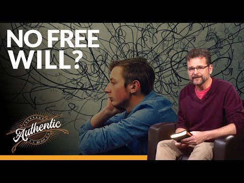 Free will or fate? Exploring the science and philosophy of choices