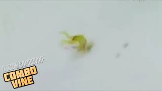 Combo Vine #566