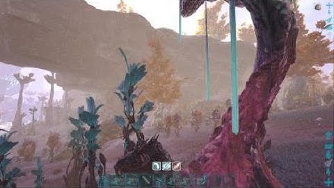 Easy shadowmane taming