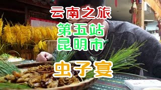 云南之旅-第五站-昆明市-享受一个重口下午茶虫子宴