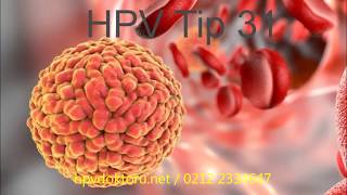 Hpv Resimleri Hpv Tipleri Resimli 6,11,16,18,31,33 Hpv Virüsü Görsel