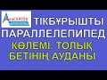 Тікбұрышты параллелепипед. Көлемі. Толық бетінің ауданы / Математика / Альсейтов