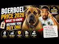 Boerboel Price 2026 What To Know Before You Buy One 